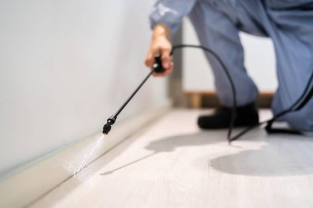 Licensed Pest Control service in Eunice, LA - Show Me Pest Control