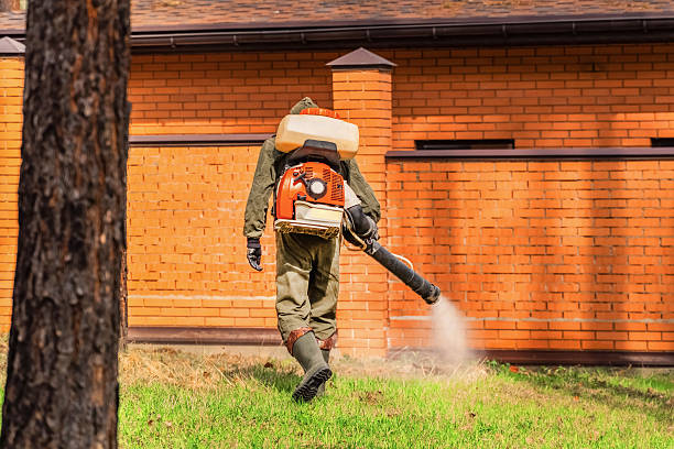 Bed Bug Clearance Verification and Documentation in Eunice